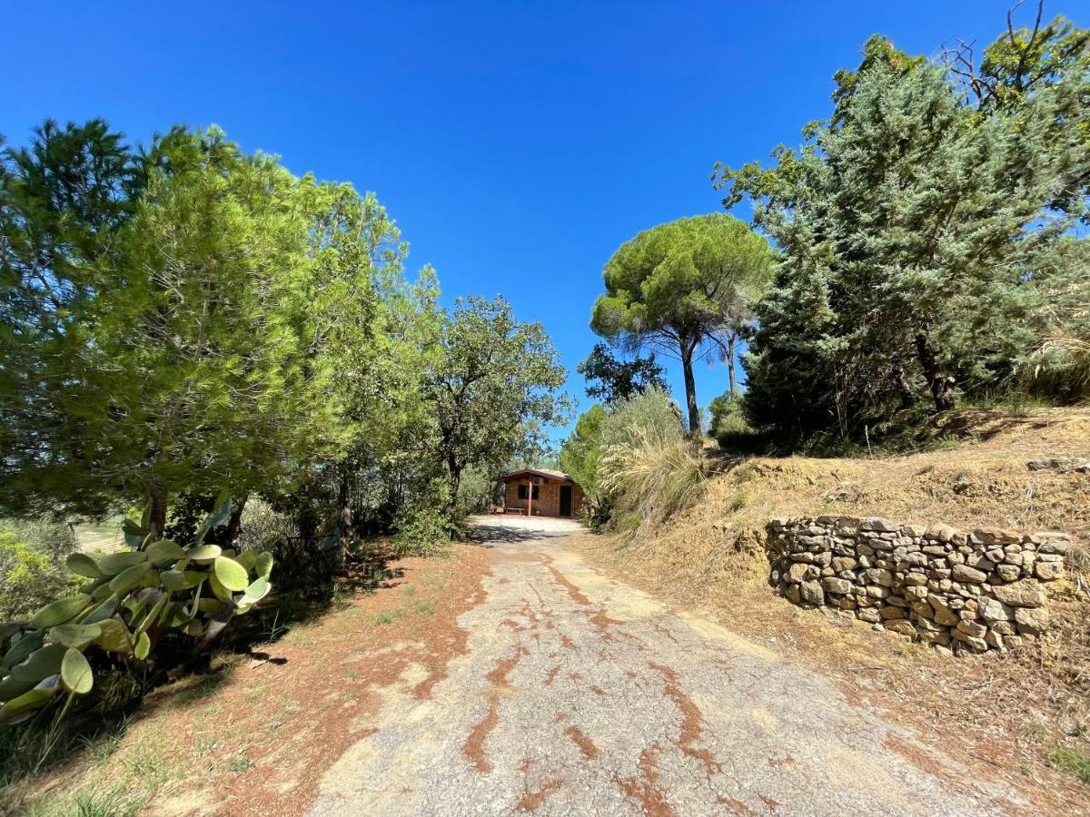 Wonderful House In The Heart Of Sicily Villa Piazza Armerina Buitenkant foto